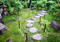 茶室・茶庭露地